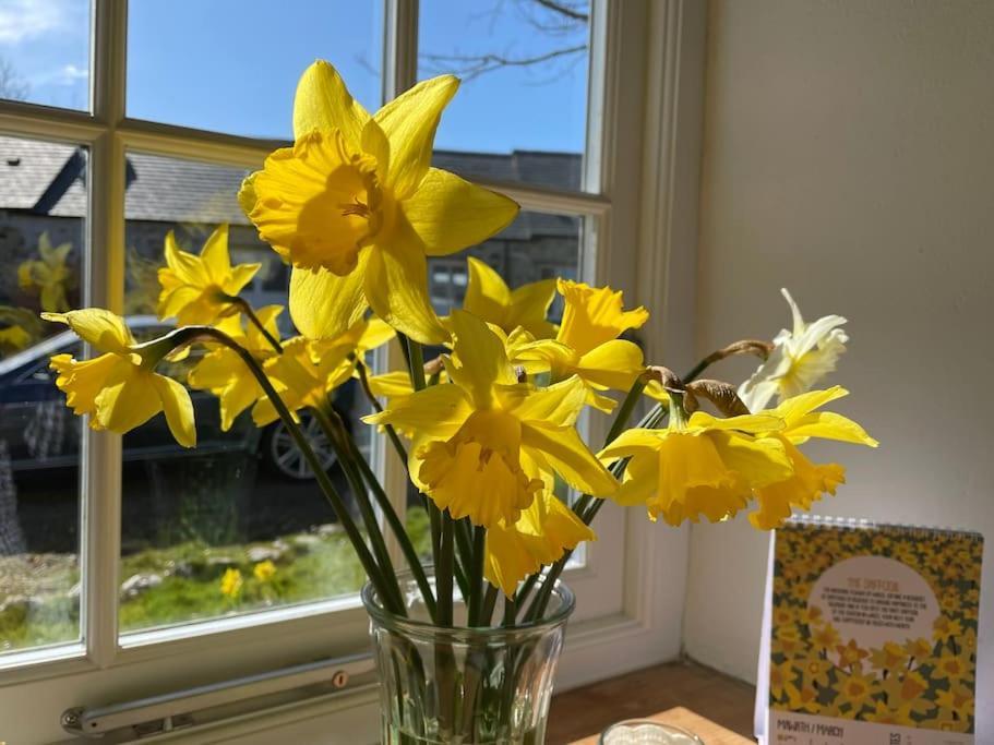 The Dairy @ Trefechan Wen Goodwick Esterno foto