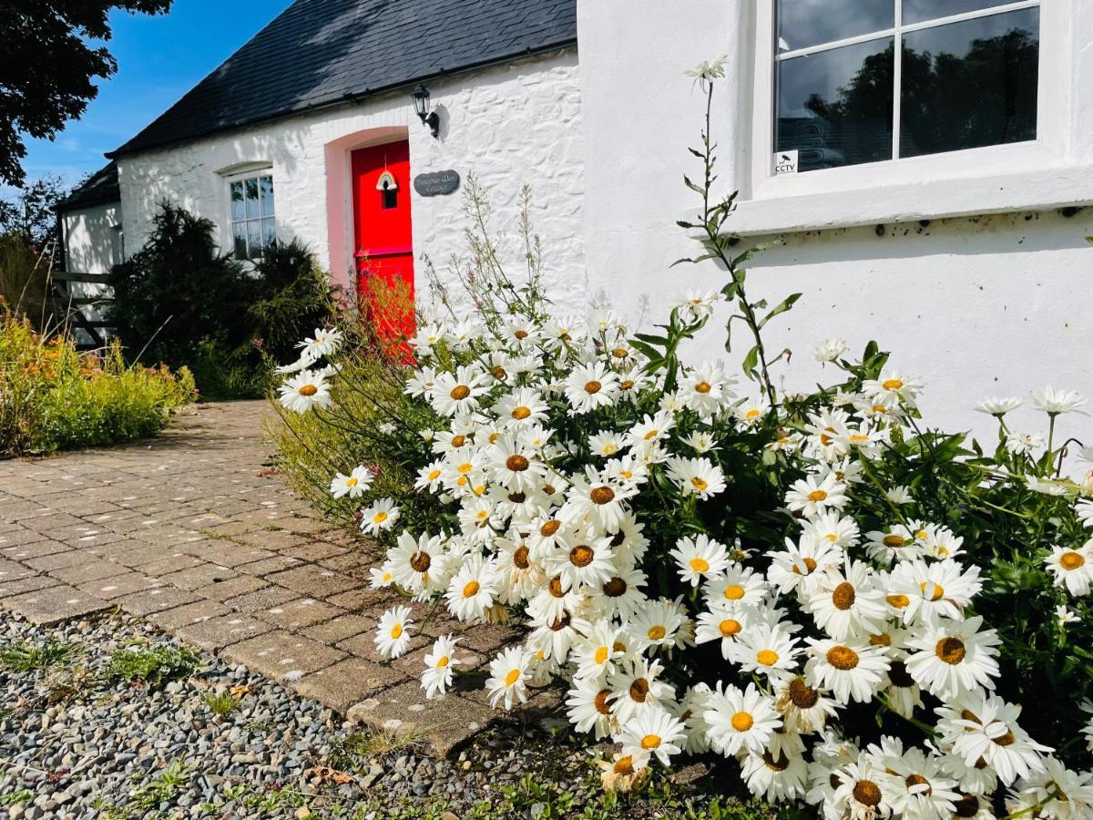 The Dairy @ Trefechan Wen Goodwick Esterno foto